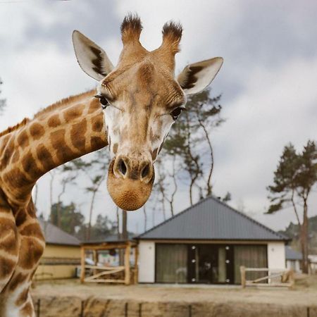 Safari Resort Beekse Bergen Hilvarenbeek Exteriér fotografie