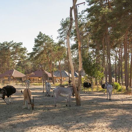 Safari Resort Beekse Bergen Hilvarenbeek Exteriér fotografie