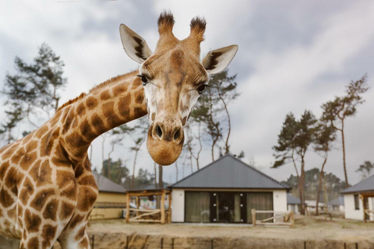 Safari Resort Beekse Bergen Hilvarenbeek Exteriér fotografie