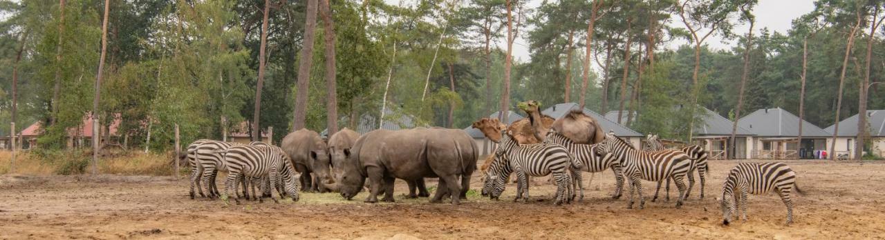 Safari Resort Beekse Bergen Hilvarenbeek Exteriér fotografie