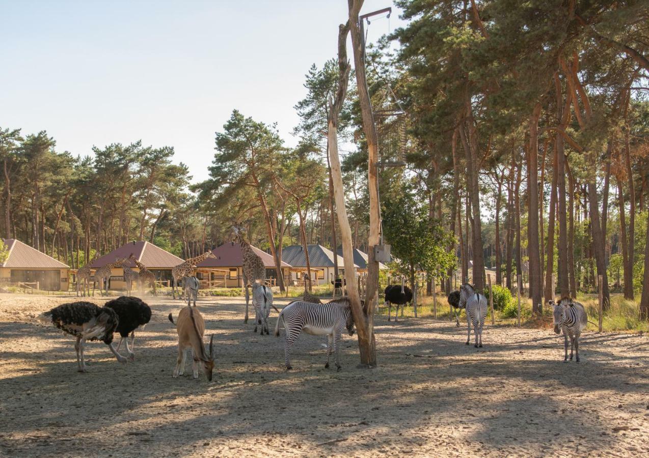 Safari Resort Beekse Bergen Hilvarenbeek Exteriér fotografie