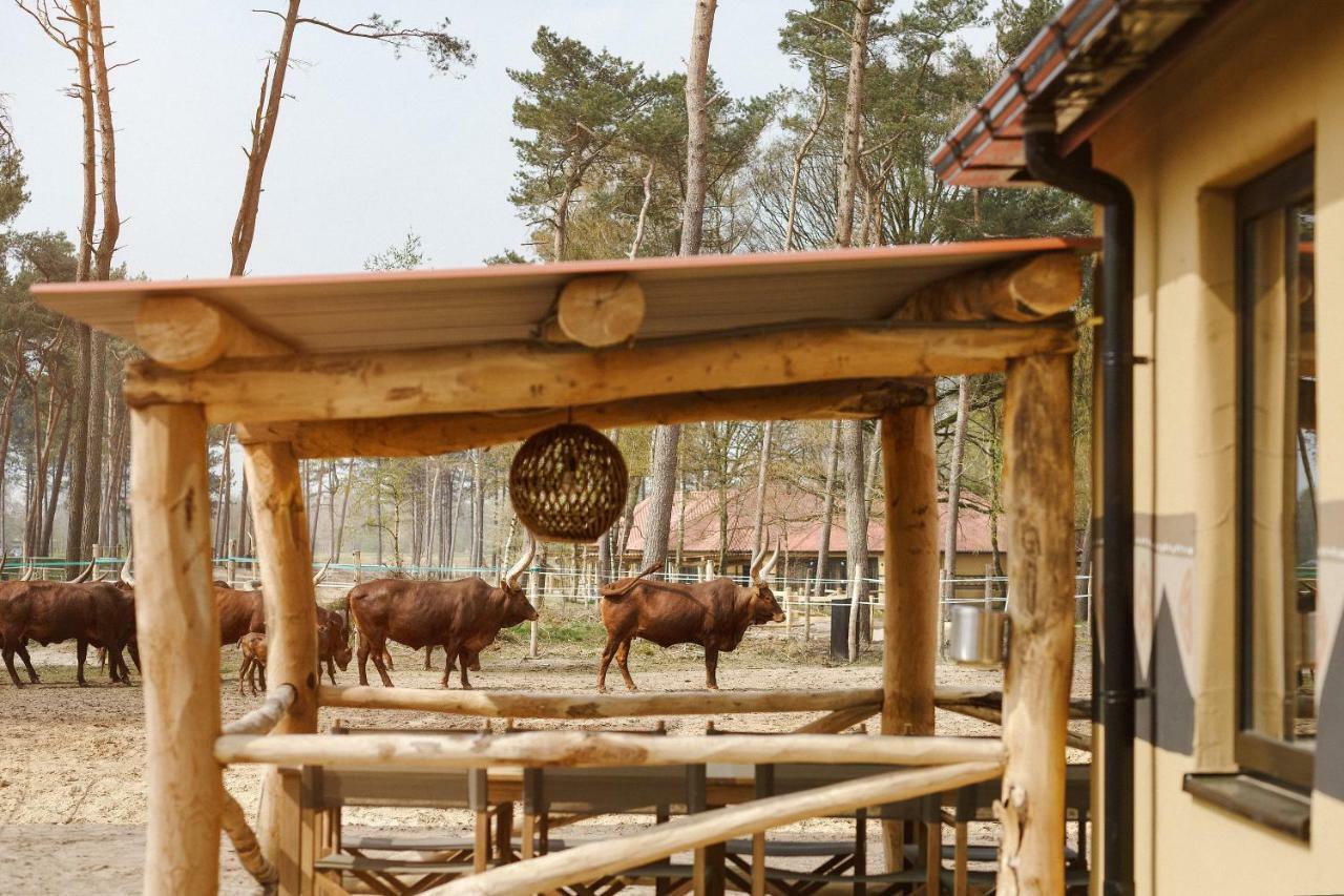 Safari Resort Beekse Bergen Hilvarenbeek Exteriér fotografie