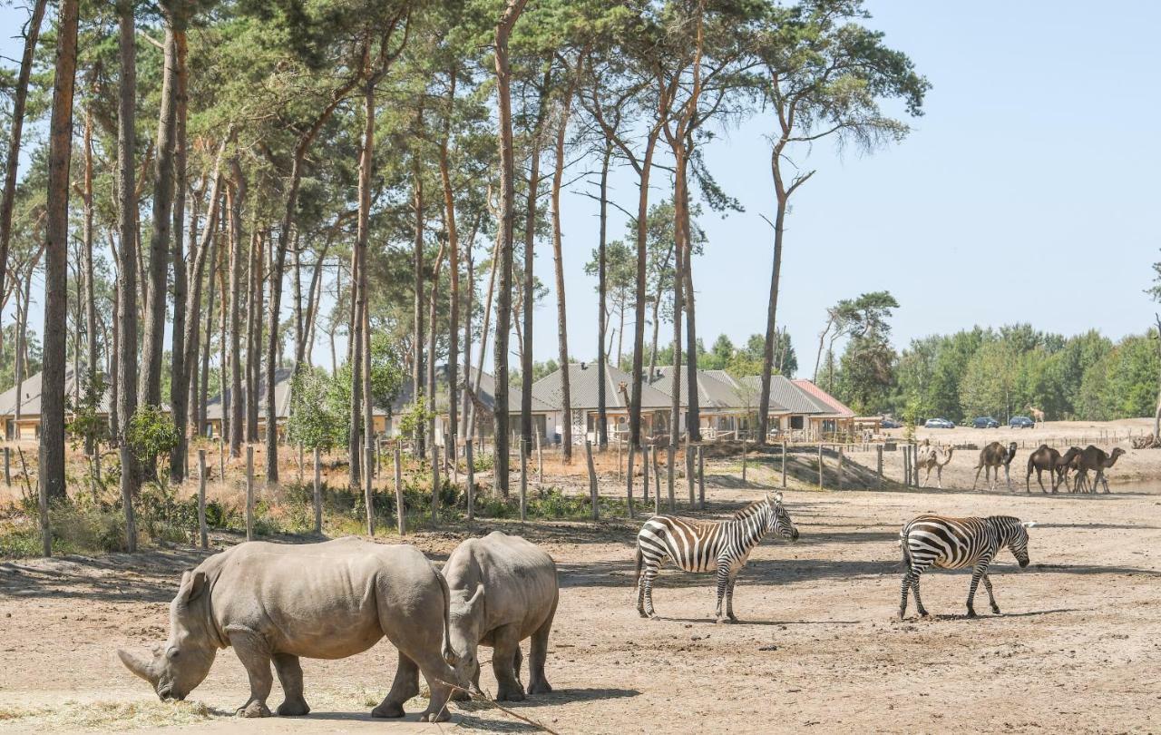 Safari Resort Beekse Bergen Hilvarenbeek Exteriér fotografie